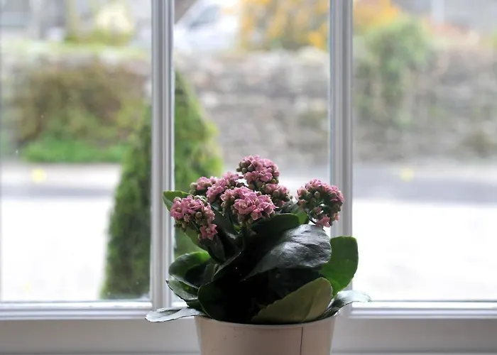 No3 The Forge, Riverside In Ferienhaus *