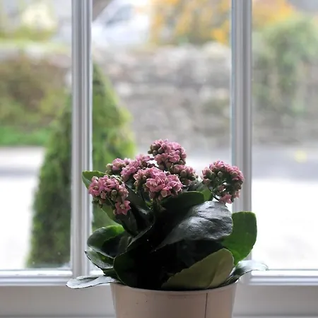 No3 The Forge, Riverside In Semesterbostad *